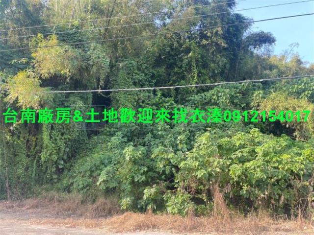 龍崎農地-0